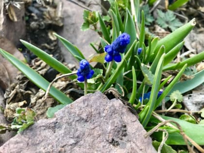 В понедельник будет пасмурно