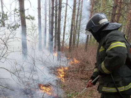 Природные пожары: в девяти из десяти случаев их причина – человеческий фактор!