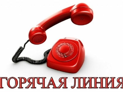 Южноуральцев проконсультируют по вопросам банкротства и деятельности арбитражных управляющих