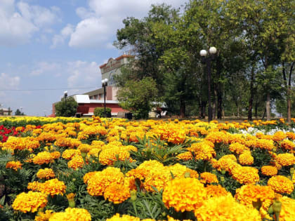 Жара до +30 и шквалистый ветер накроют Магнитогорск в ближайшие дни. Какие природные аномалии надвигаются на город?