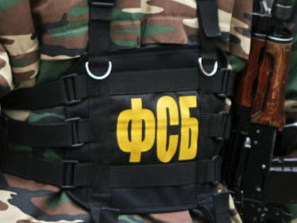 Супруги из Златоуста пытались сбыть оружие и более 100 патронов