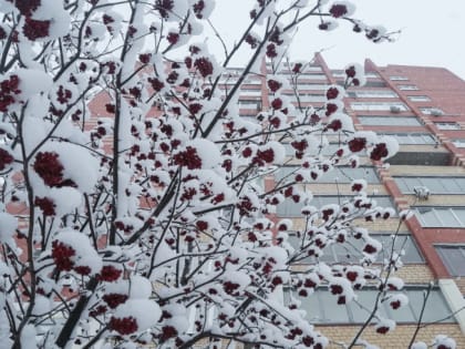 Сбербанк: увеличение льготной ставки по ипотеке в РФ взвешенное и поддержит спрос