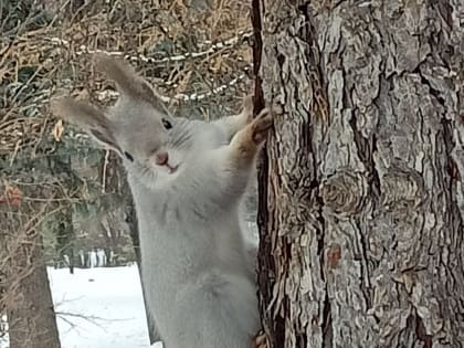 Анонсы событий и мероприятий на девятое марта
