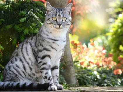 Жара до плюс 33 градусов ожидается в Челябинской области