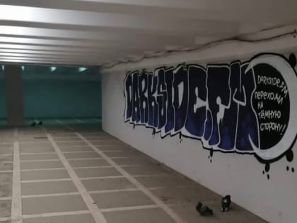 Стены подземного перехода в Челябинске разрисовали неприличными граффити