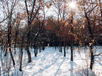 В&nbsp;Магнитогорске будет солнечно