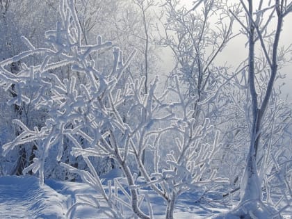 В последнюю ночь уходящего года столбики термометров опустятся до минус 26