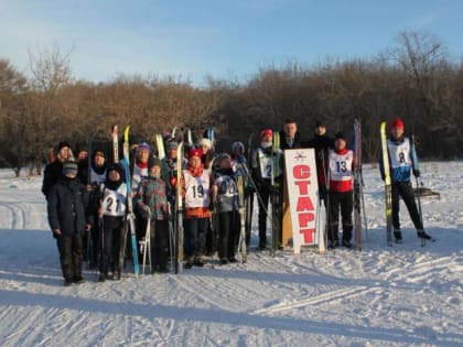 Жители Калининского района вышли на лыжню в Никольской роще