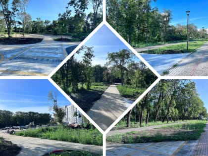 В мэрии показали, как идёт преображение челябинского парка «Плодушка»