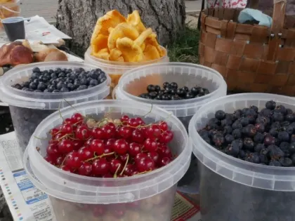 Опасности винограда: кому стоит быть осторожным?