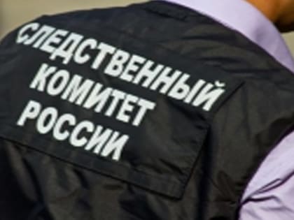 Челябинка, которая выбросила детей из окна, накануне трагедии поссорилась с мужем