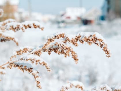 Выходные в Магнитогорске будут солнечными 