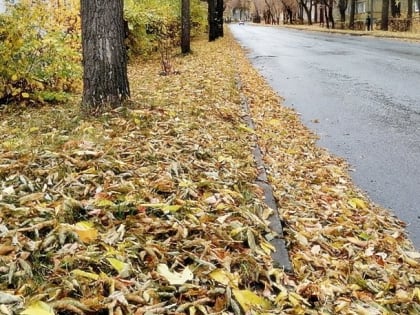 Улицы Озёрска "утопают" в листве