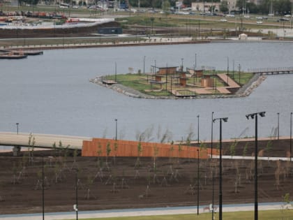 Посетители оборвали краснокнижные кувшинки в магнитогорском парке «Притяжение»