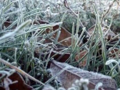 Синоптики: Ночью в Челябинской области ожидается уверенный «минус»