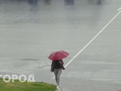 Погода в Челябинске: осенние изменения и дожди