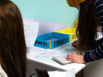 Вот он, свин! В Челябинской области объявлена эпидемия гриппа