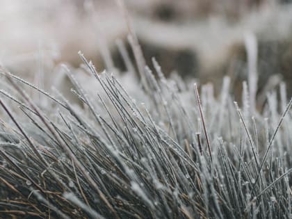 Уже завтра в Челябинской области ожидают заморозки