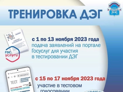 Тестируем дистанционное электронное голосование