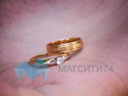 Порядка 16 тысяч супружеских пар претендуют на получение регионального знака отличия «Семейное счастье»