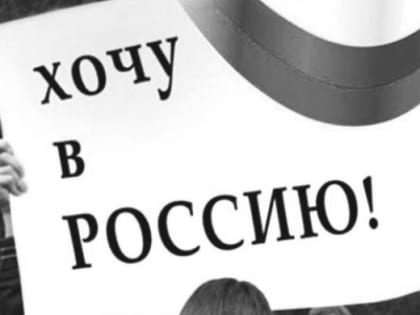 С начала 2023 года на Южный Урал из-за рубежа переехали более 2,5 тыс. человек