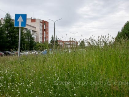 Зелёные будни Озёрска