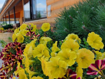 Синоптики дали прогноз погоды на выходные 22 и 23 июня