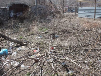 Депутаты вышли на субботник