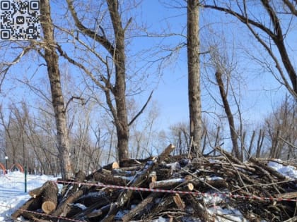 Копейчанам предлагают забрать древесину