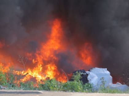 Челябинцы разожгли костёр в городском бору и сбежали