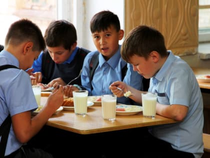 Специализированное питание в школах: будущее или настоящее?
