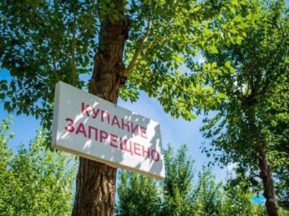 В Челябинской области утонул 10-летний мальчик