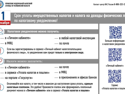 Управление Федеральной налоговой службы по Челябинской области напоминает