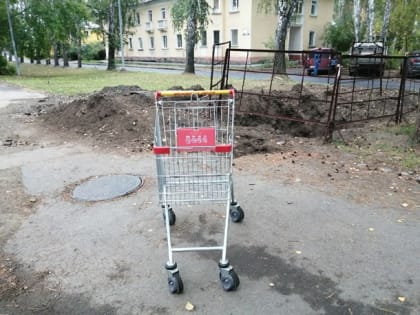 Укатила погулять