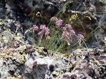 Жара и дожди. Делимся прогнозом погоды на 3 июня в Магнитогорске