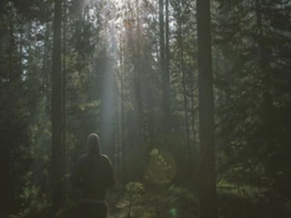 Полицейские разыскали мужчину, заблудившегося в лесу Ашинского района