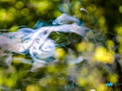 В России вырос размер акциза на сигареты, табак и жидкости для вейпа