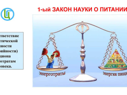 Первый закон о питании: как рассчитать индекс массы тела