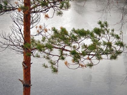 Южноуральцев предупреждают об ухудшении погоды – ливни, грозы, града, жара и НМУ