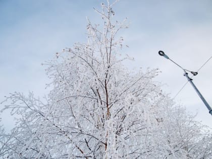 Прогноз погоды на понедельник