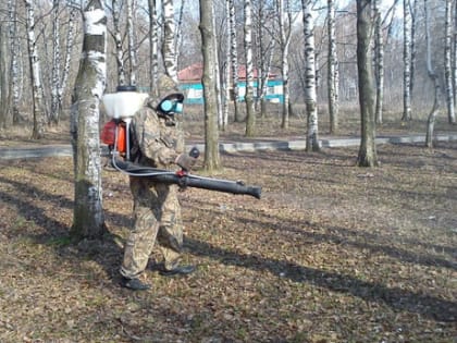 В Челябинске стартует обработка зеленых зон от клещей