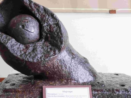История на казачьих штыках