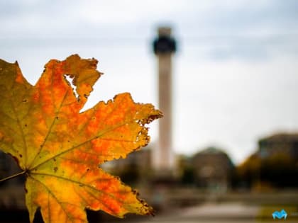 Прогноз погоды на понедельник