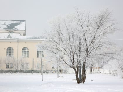 Небольшой снег и ночные морозы пообещали жителям Челябинской области 27 ноября