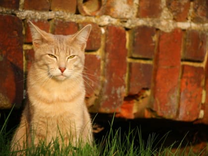 Воздух прогреется до плюс 19 градусов в Челябинской области
