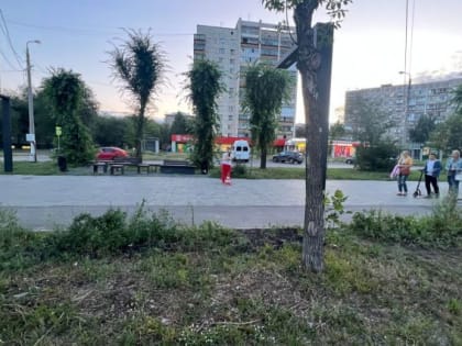 В Магнитогорске самокатчик сбил женщину и уехал