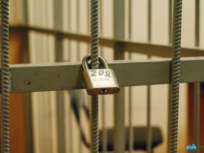 Подозреваемого в жутком убийстве челябинца заключили под стражу