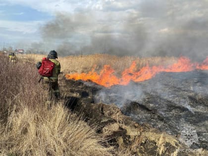 С 12 апреля на всей территории Челябинской области установлен особый противопожарный режим