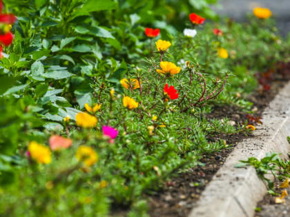 Южноуральцам пообещали в субботу до +24 градусов тепла