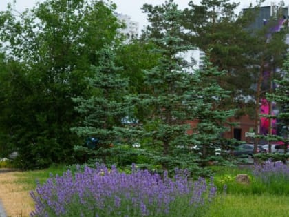 Стало известно, какие проекты выбрали челябинцы для благоустройства в 2023 году